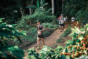 BIB: 
                            <button type="button" onclick="openModal(25820665)" class="btn btn-primary btn-sm float-right btn-popup" data-toggle="modal" data-target=".modal-high-quality">
                        <i class="fas fa-shopping-cart"></i> Add to Cart
                    </button>
                                            <button type="button" onclick="isThisMe(25820665, true)" class="btn btn-success btn-sm float-right btn-popup btn-isme hidden" data-toggle="tooltip" data-placement="bottom" title="นี่คือรูปของคุณใช่ไหม คลิกที่นี่เพื่อเอาเข้าอัลบั้ม">
                        <i class="fas fa-plus"></i> Add to album
                    </button>
                    <button type="button" onclick="isThisMe(25820665, false)" class="btn btn-warning btn-sm float-right btn-popup btn-isnotme hidden">
                        <i class="fas fa-ban"></i> Remove from album
                    </button>